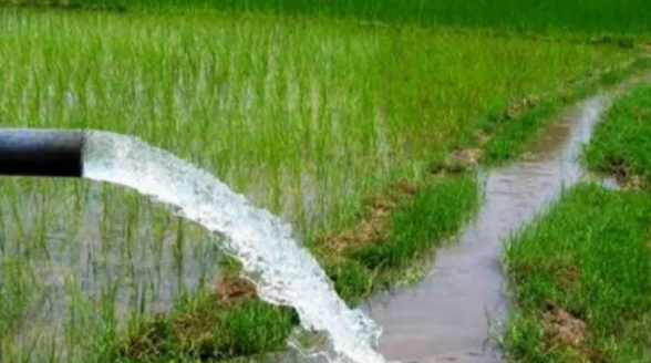 पन्ध्र लाख ९० हजार हेक्टरमा पुग्यो सिँचाइ सुविधा