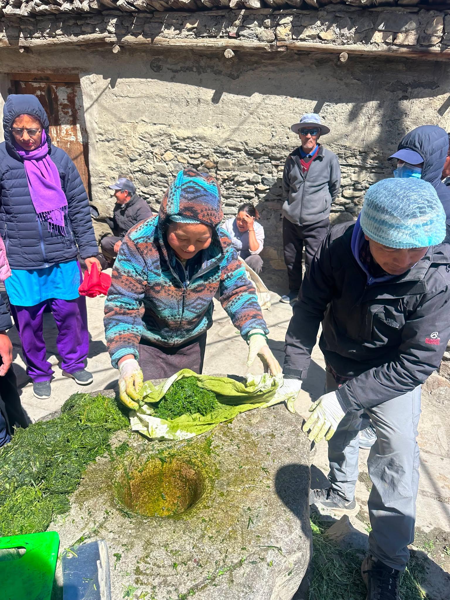 विषादीको विकल्पमा ‘जैविक झोल’