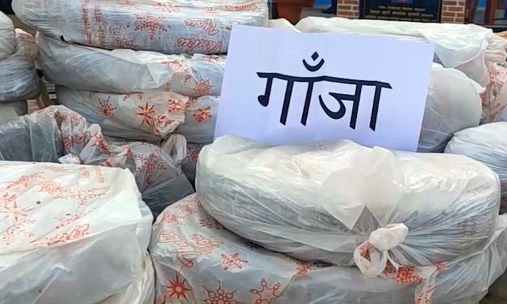 पाँच सय किलो गाँजासहित दश जना पक्राउ